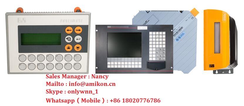 GE	DS200SHVMG1AED